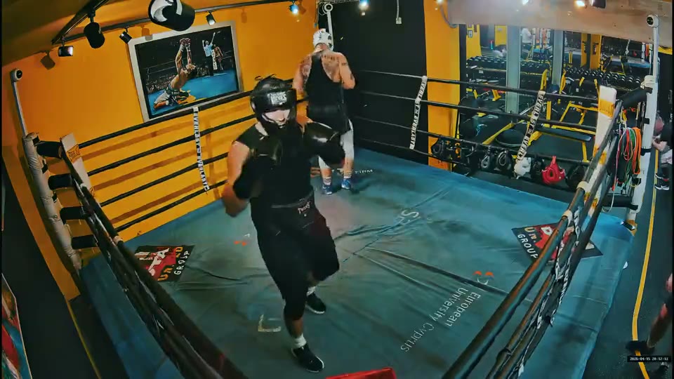 Example AICO fixed camera view looking down on two adult boxers sparring