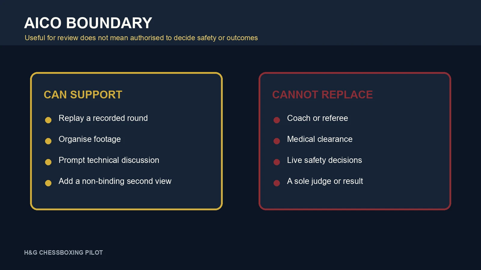 Graphic separating the review tasks AICO may support from the human and medical authority it cannot replace