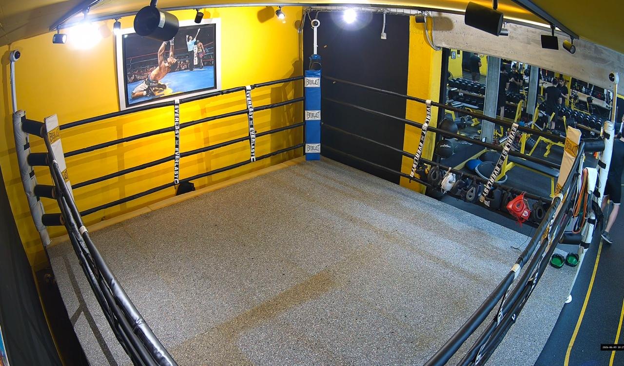 Example wide AICO fixed camera view showing the full boxing ring and surrounding sight lines