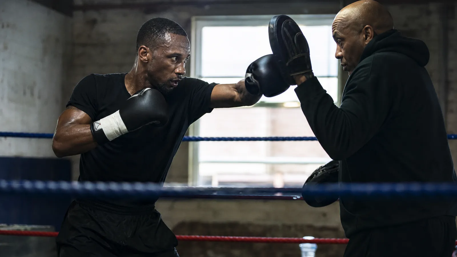 Article-specific boxing training image