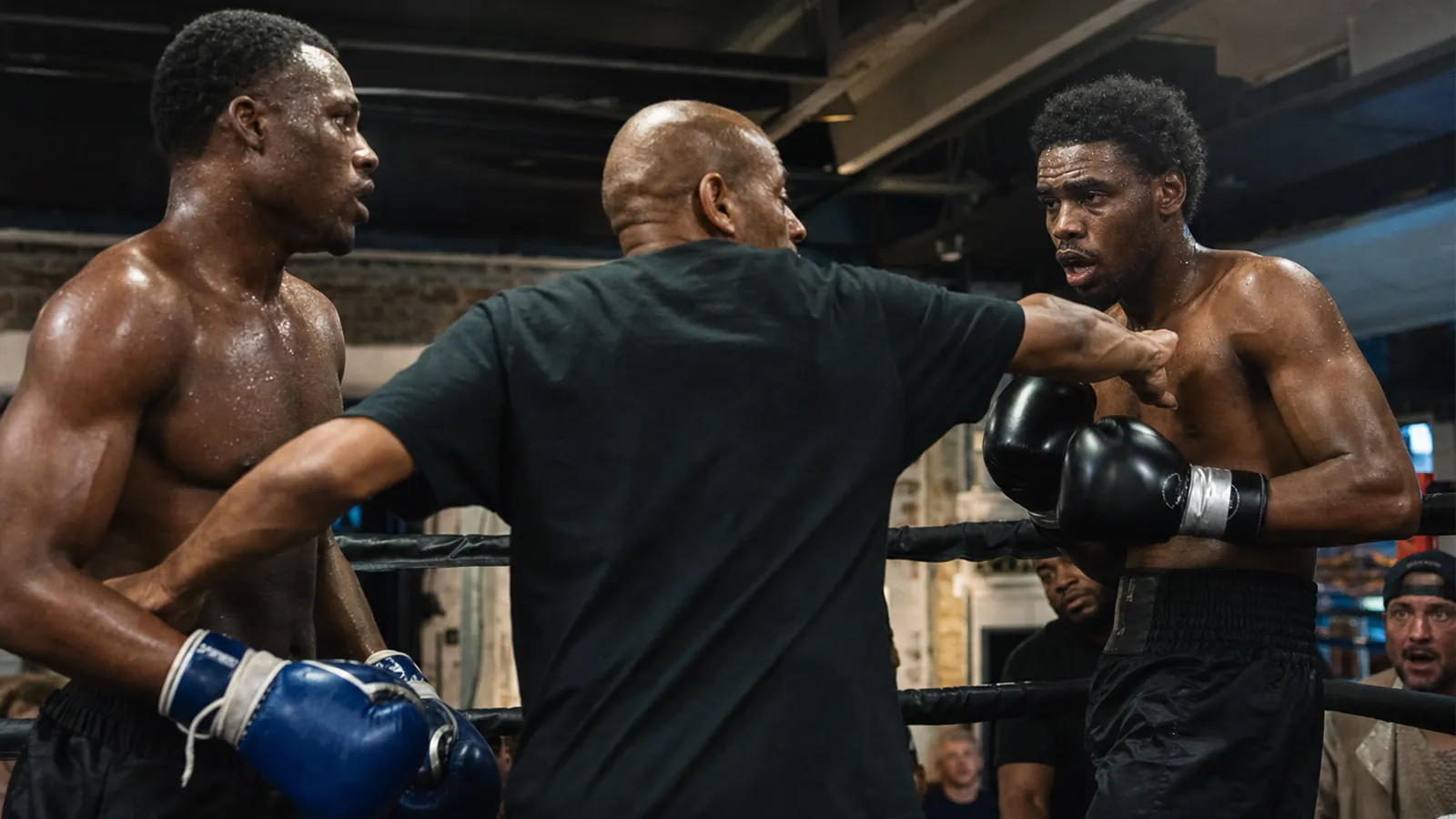 Article-specific boxing training image