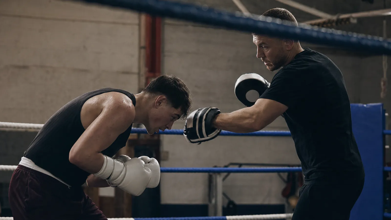 Article-specific boxing training image