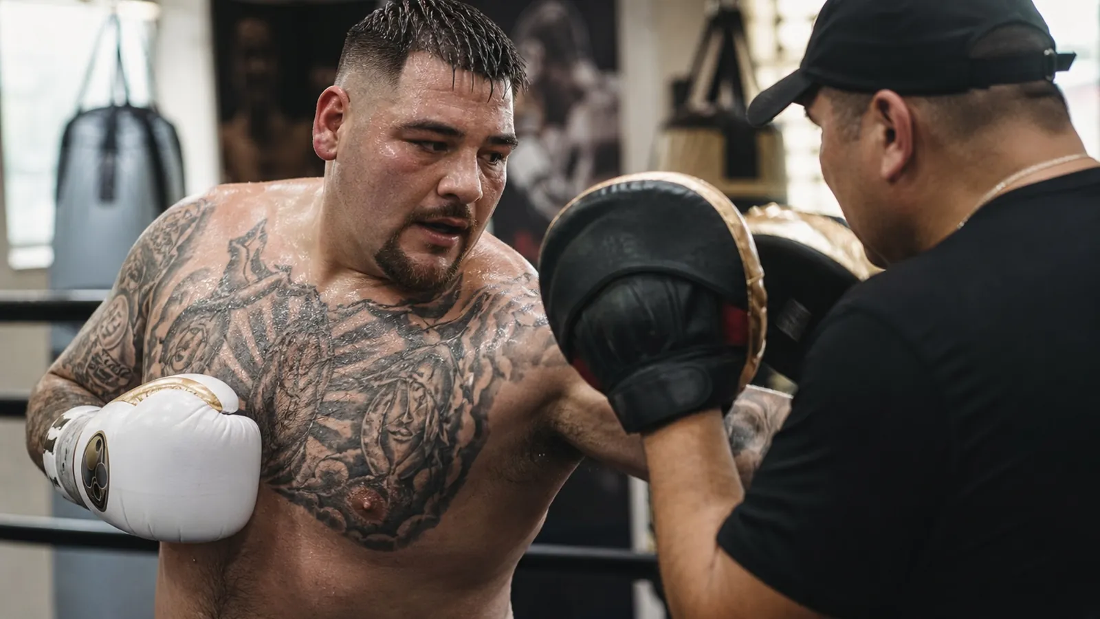 Article-specific boxing training image