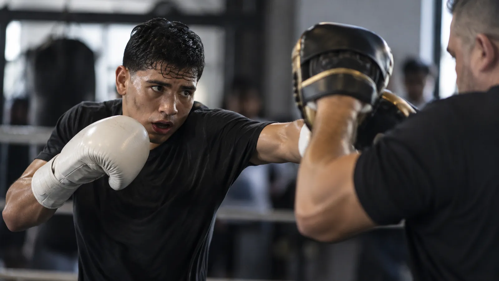 Article-specific boxing preparation image
