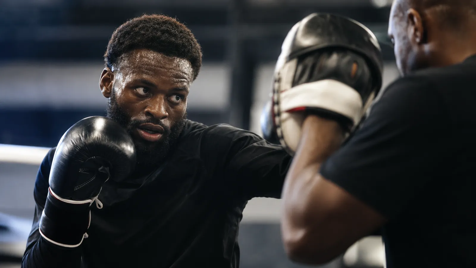 Article-specific boxing training image