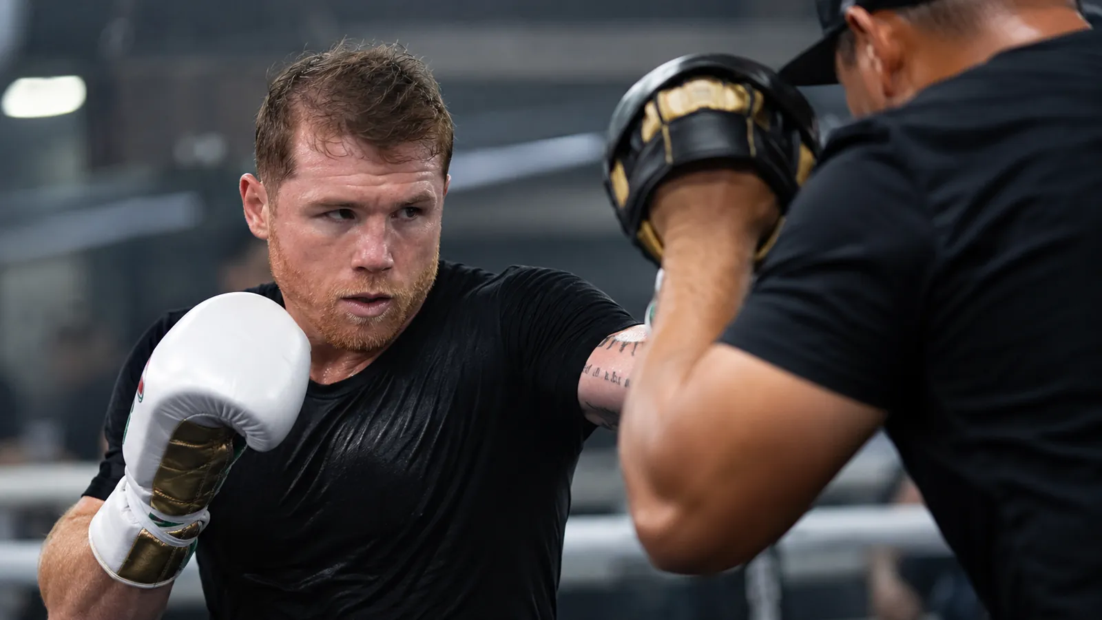 Article-specific boxing training image