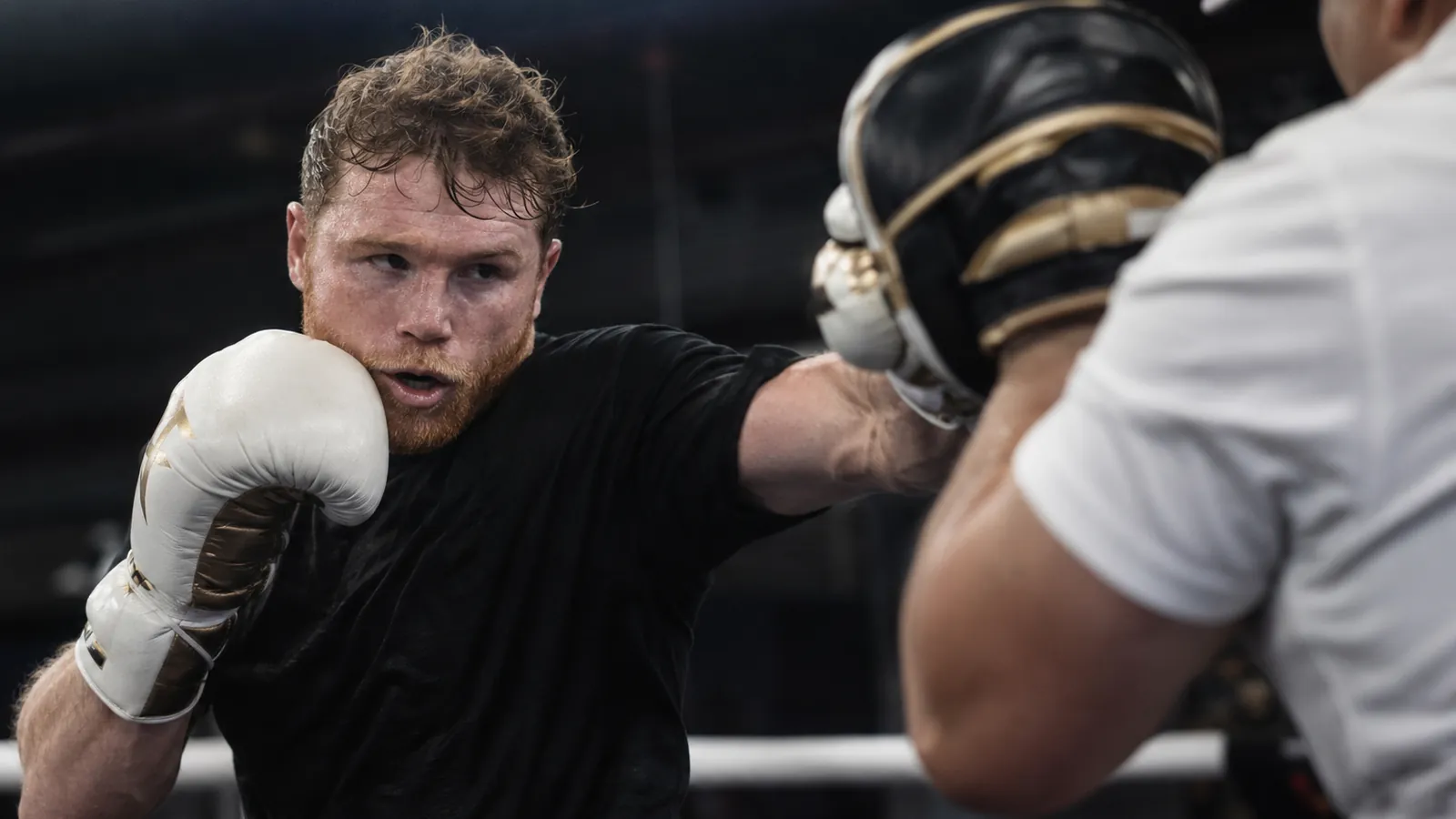 Article-specific boxing preparation image