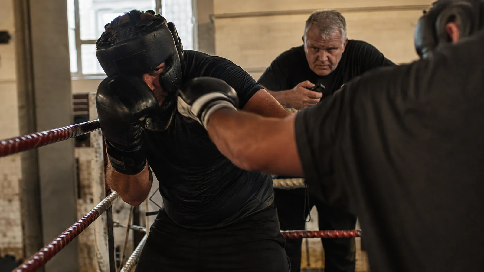 Article-specific boxing training image