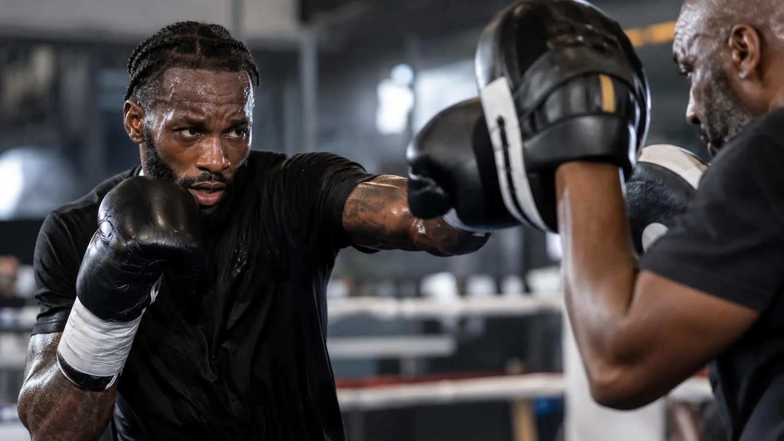 Article-specific boxing training image