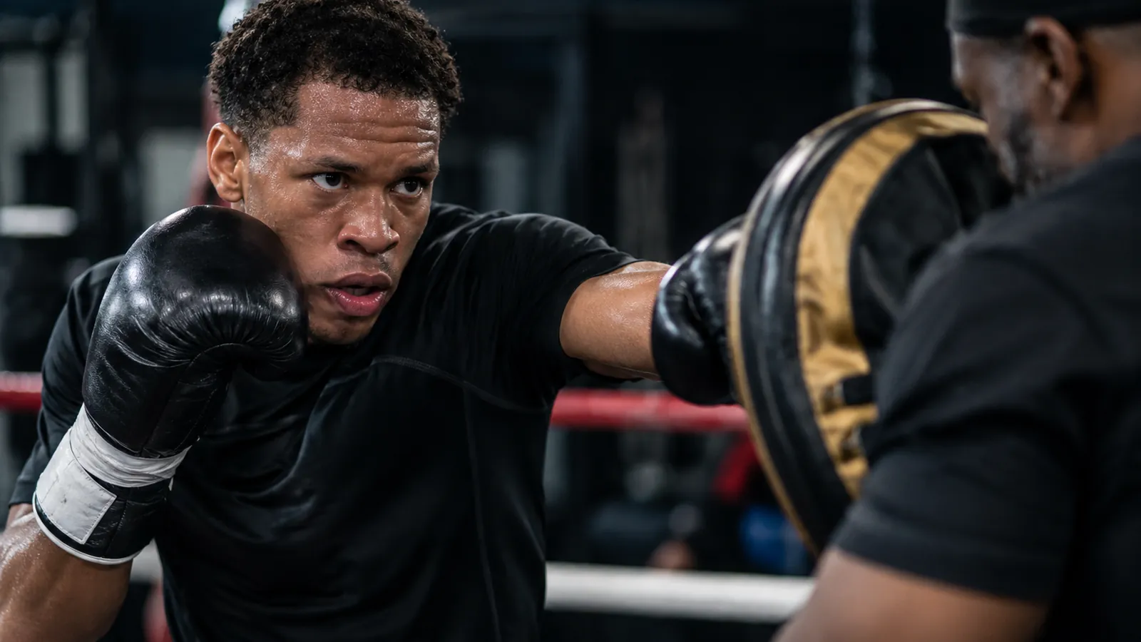 Article-specific boxing training image