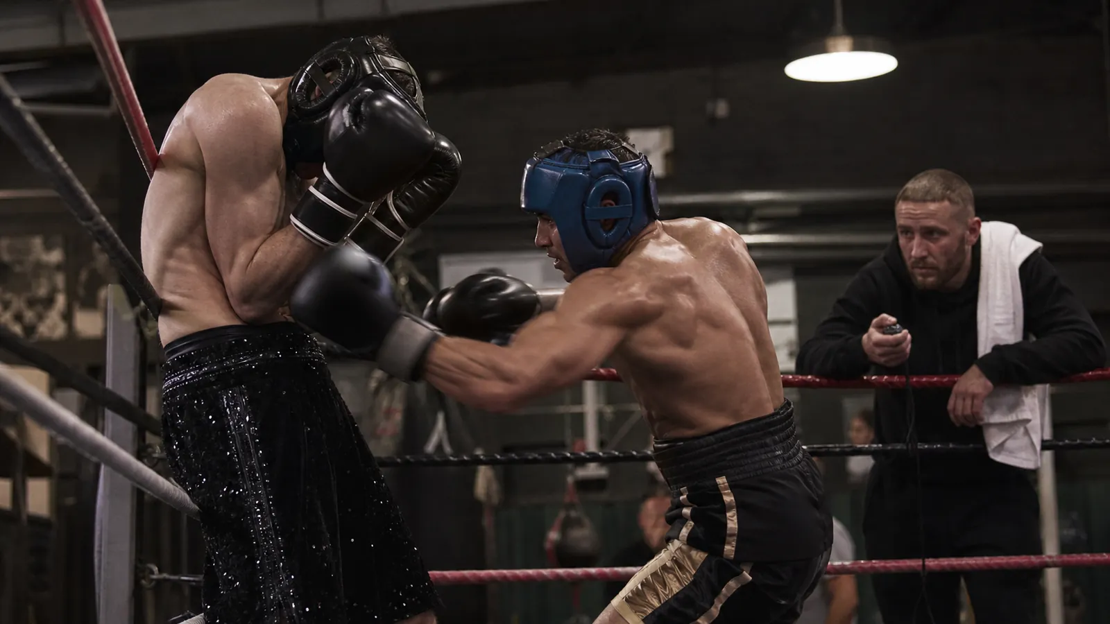 Article-specific boxing training image