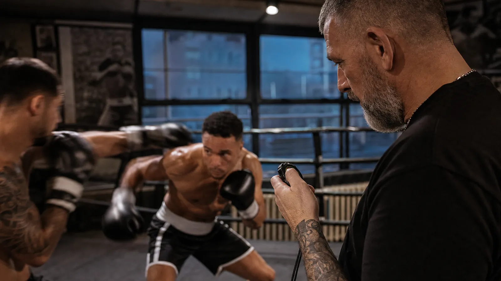 Article-specific boxing training image
