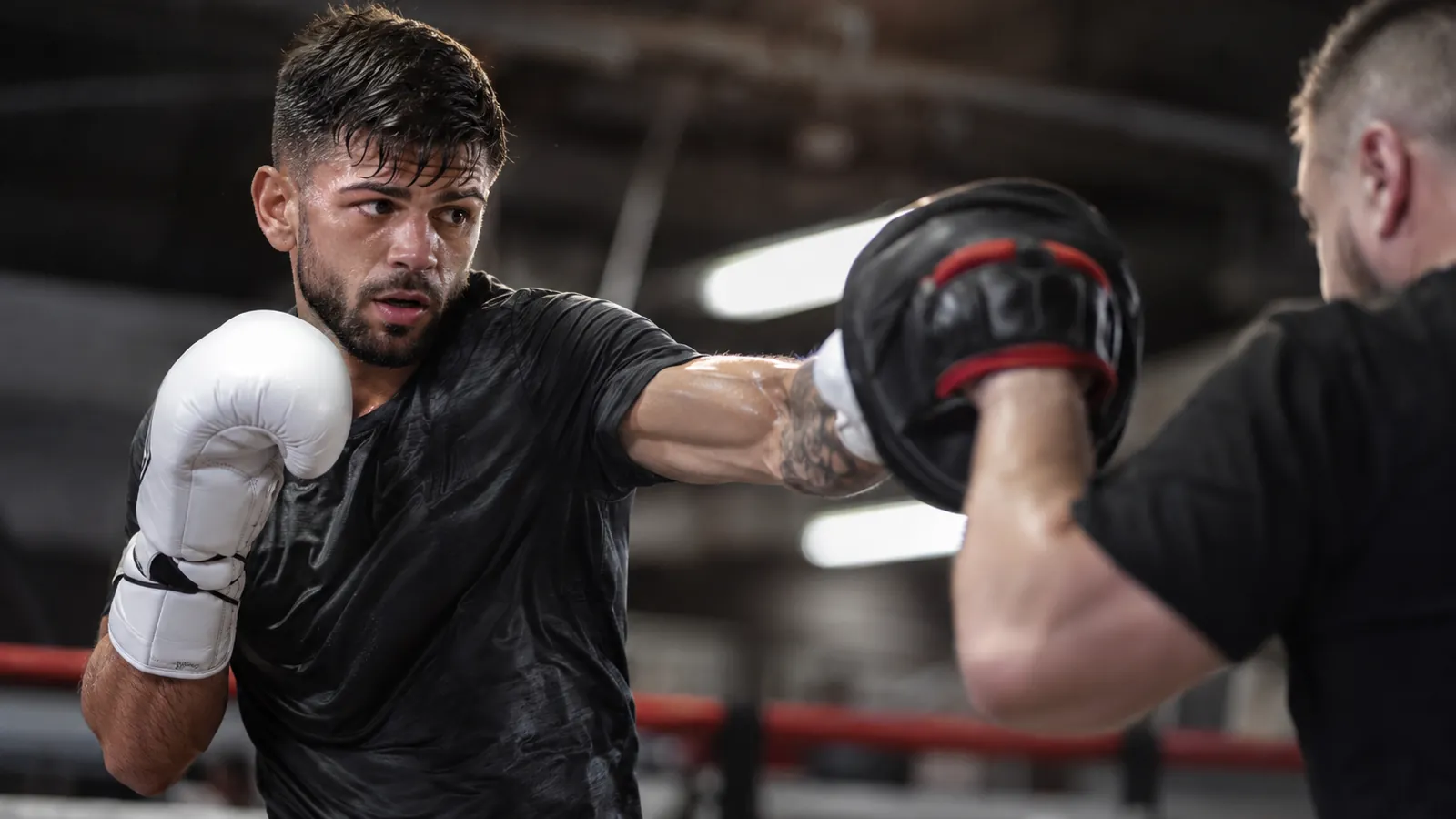 Article-specific boxing preparation image
