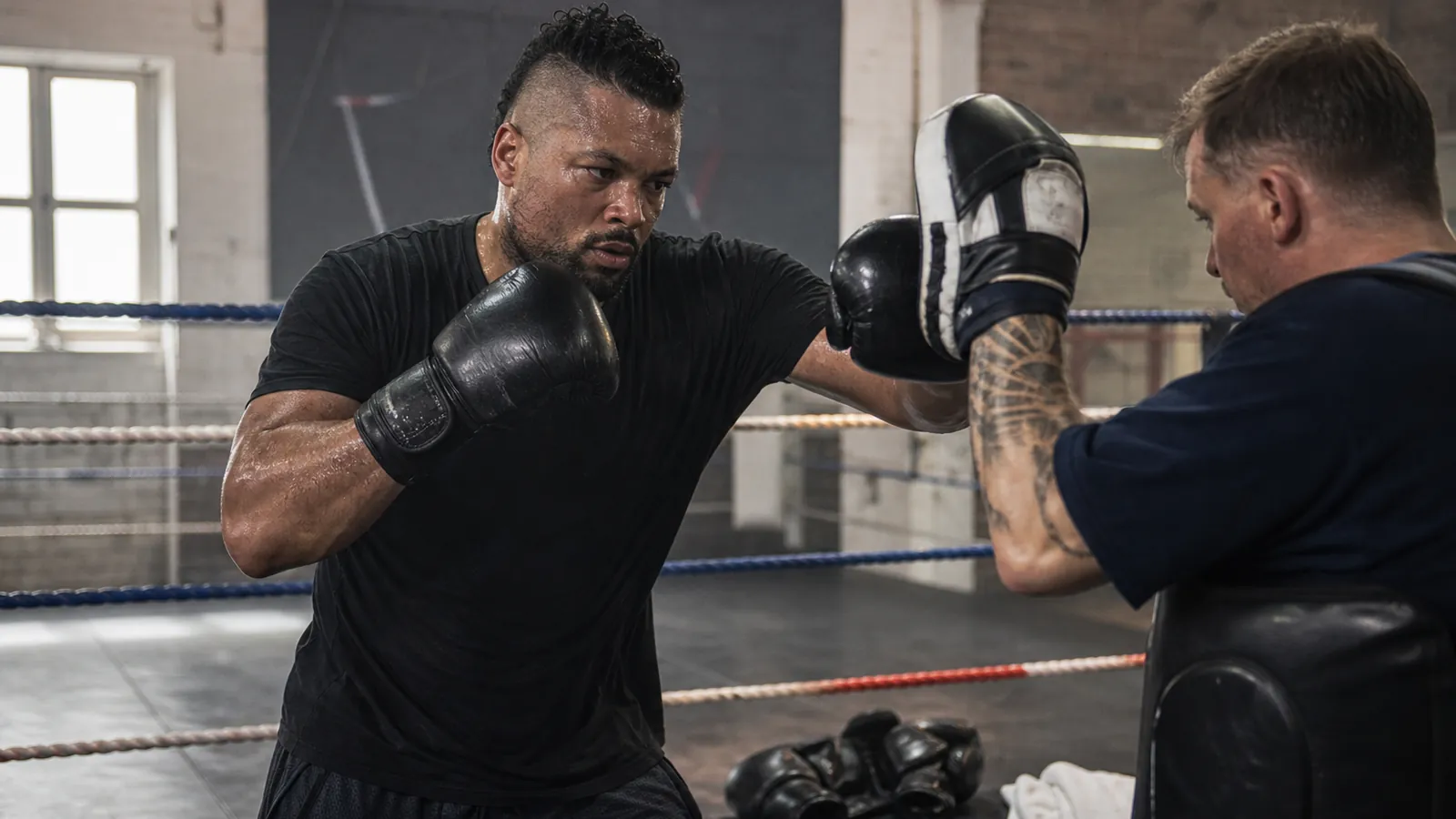 Article-specific boxing training image