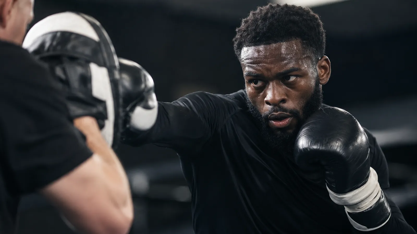 Article-specific boxing training image
