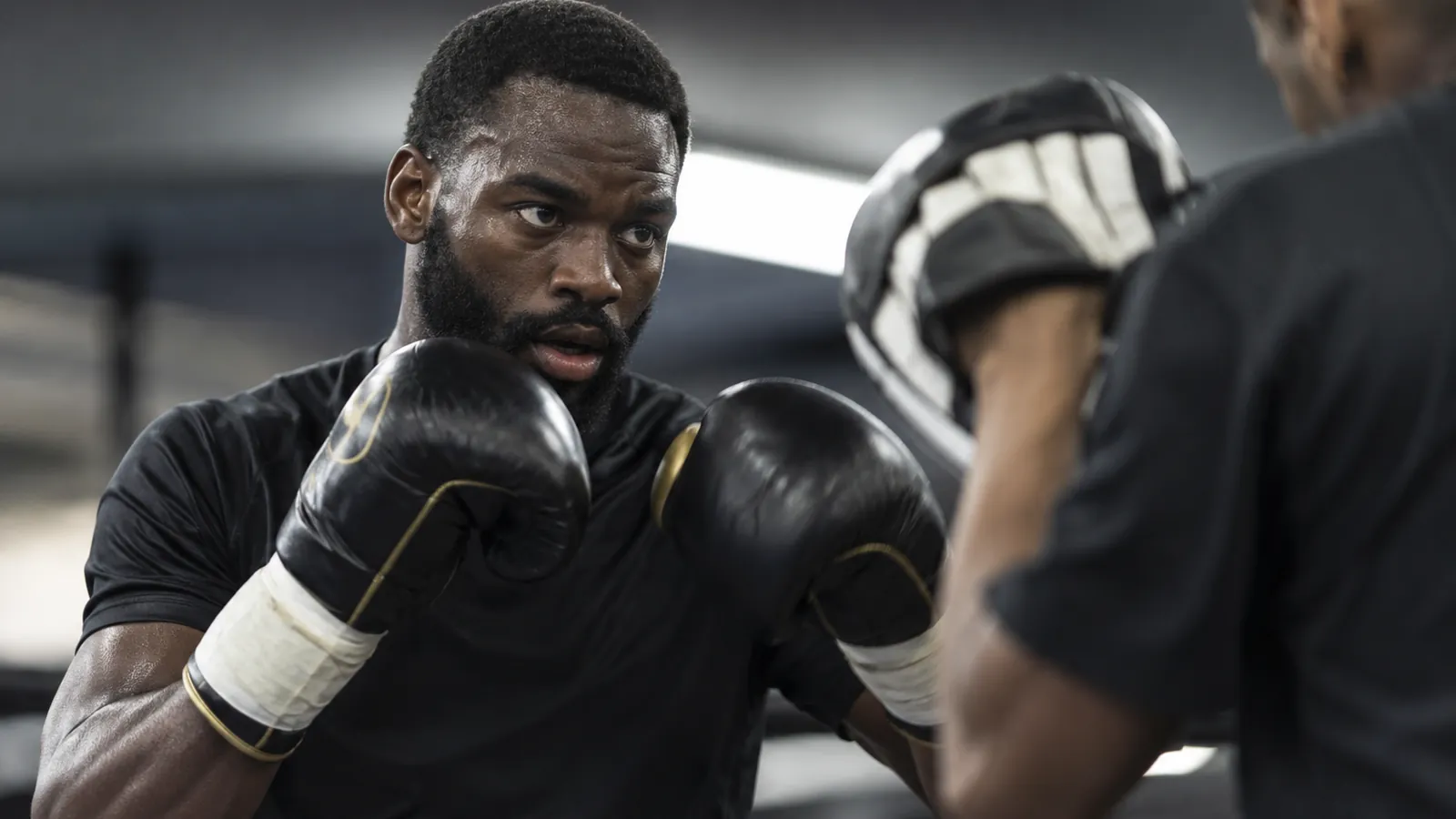 Article-specific boxing preparation image