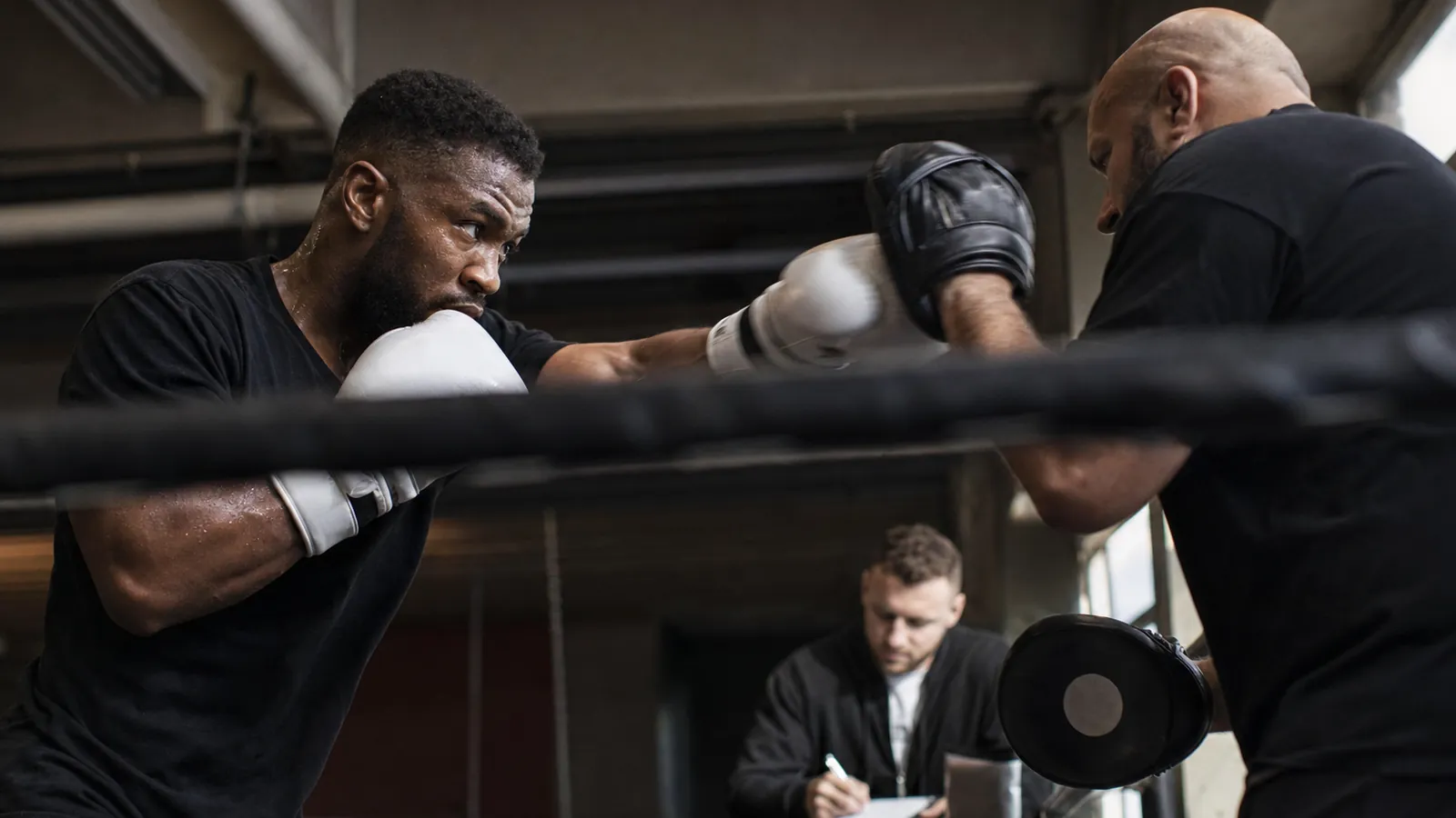 Article-specific boxing preparation image