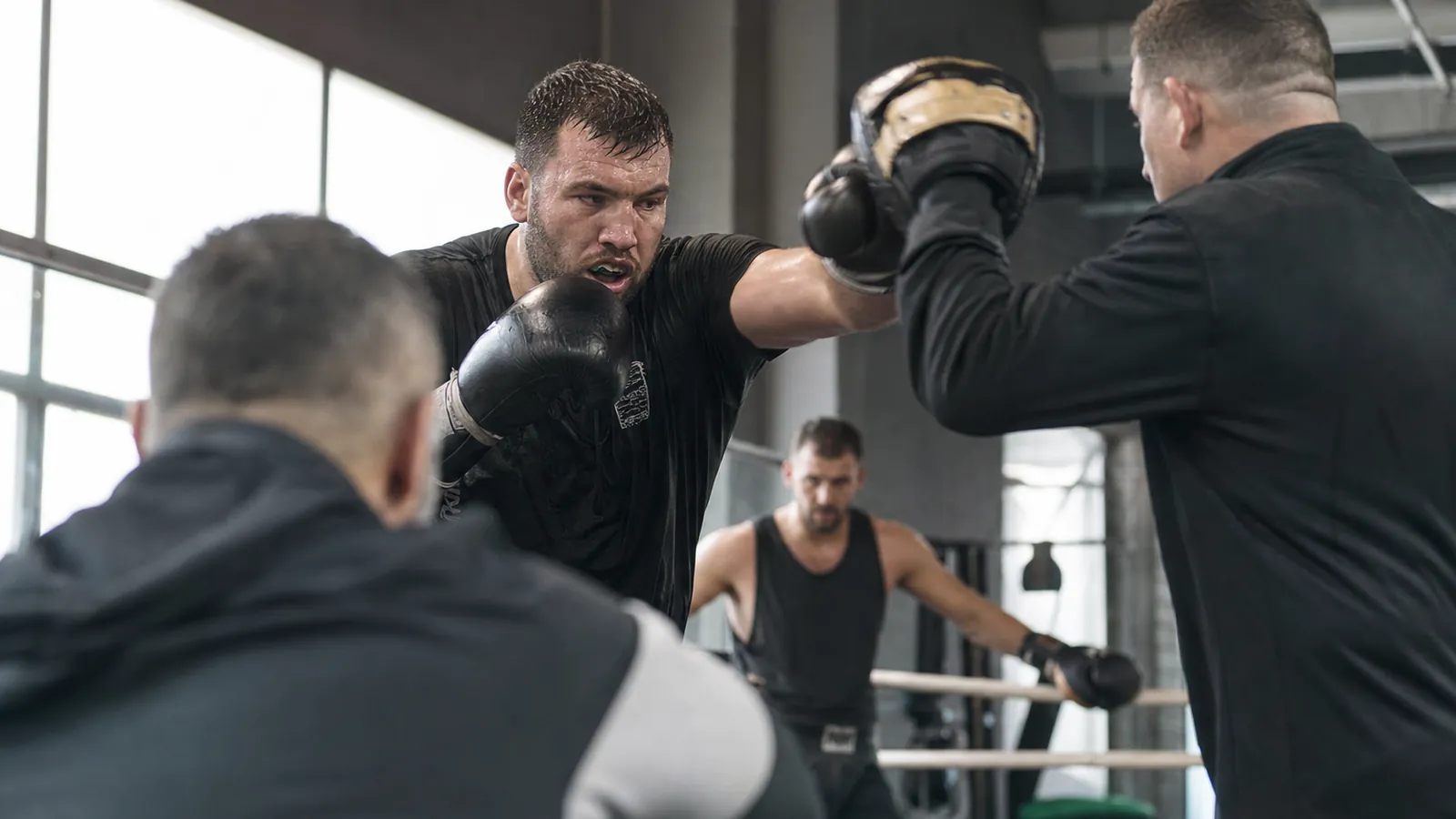 Article-specific boxing preparation image
