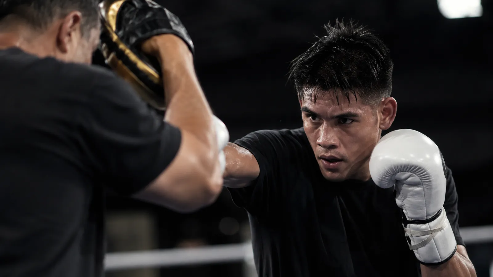 Article-specific boxing training image