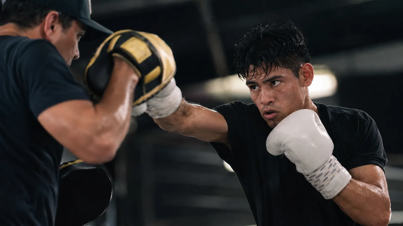 Article-specific boxing preparation image