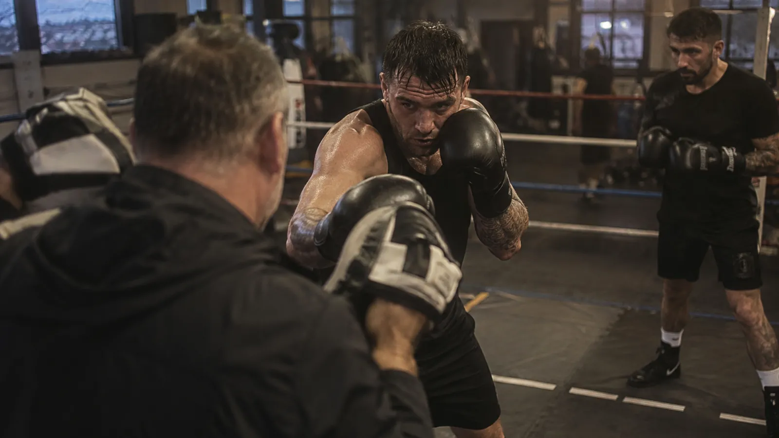 Article-specific boxing training image