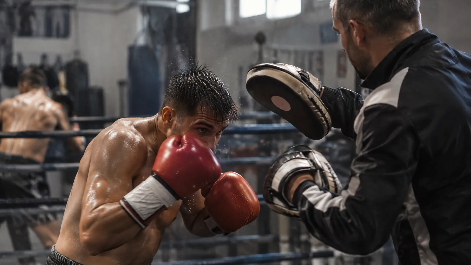 Article-specific boxing training image