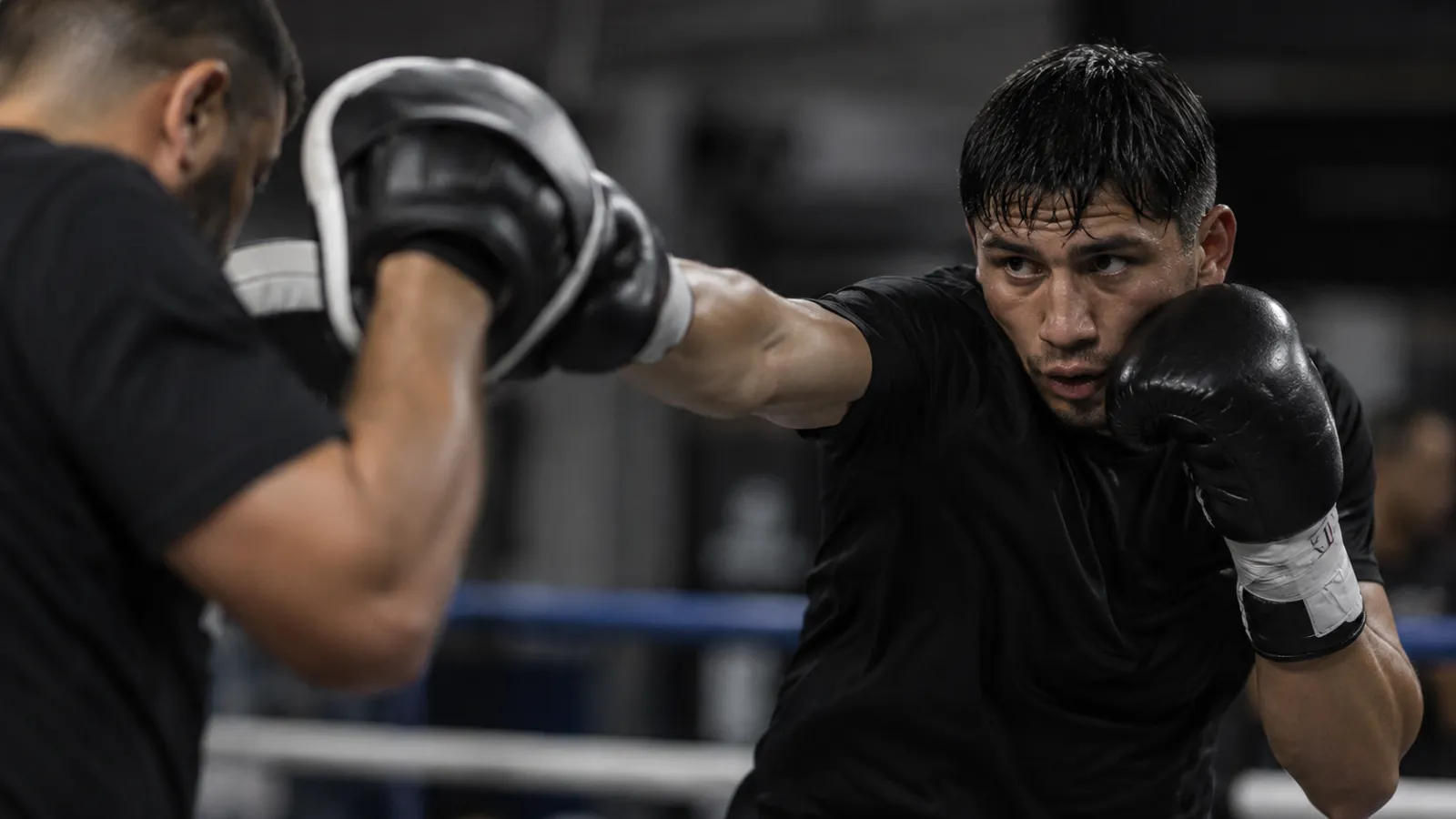 Article-specific boxing training image