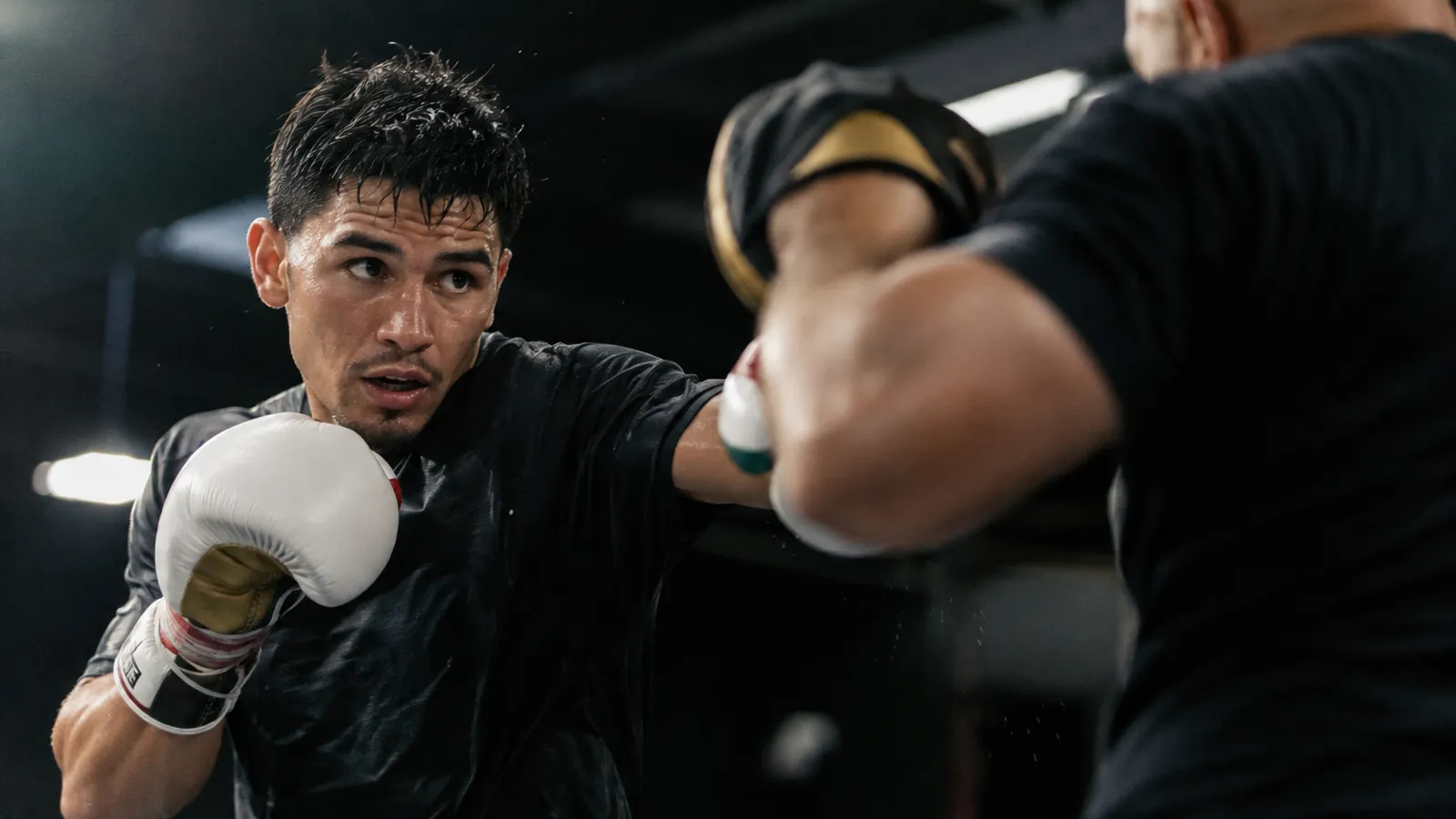 Article-specific boxing preparation image