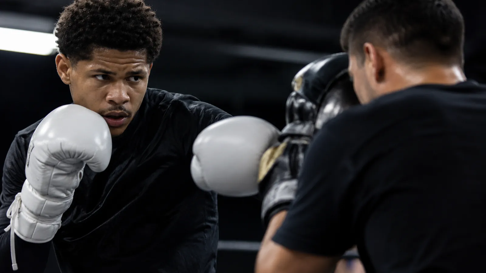 Article-specific boxing training image