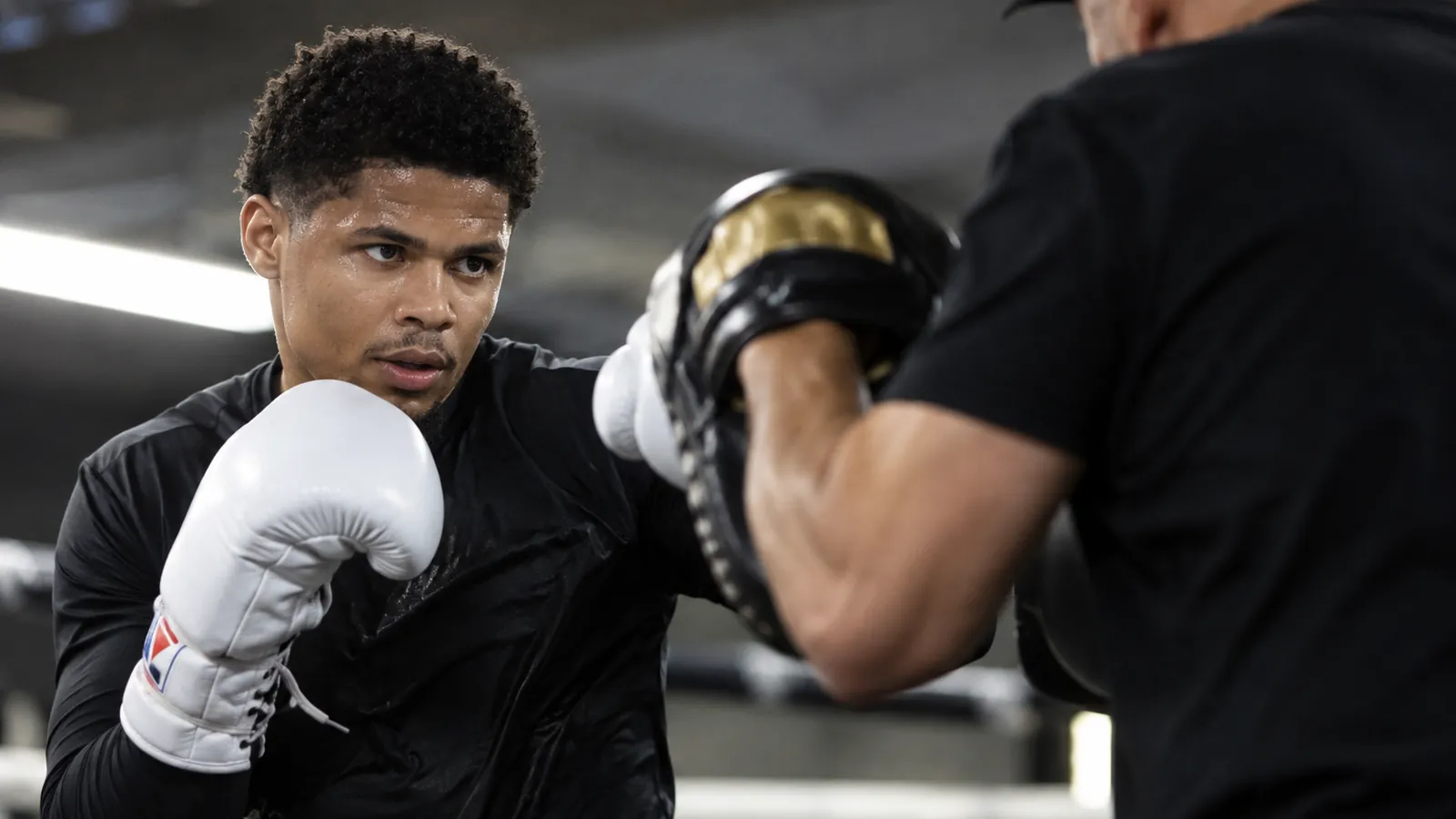 Article-specific boxing preparation image