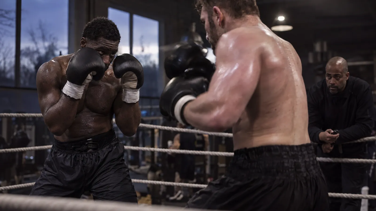 Article-specific boxing training image
