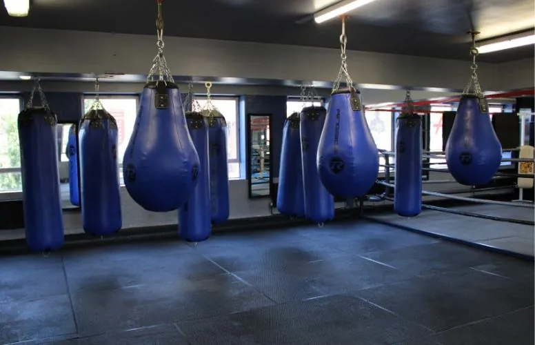 Rows of heavy bags inside the Honour and Glory gym in Kidbrooke