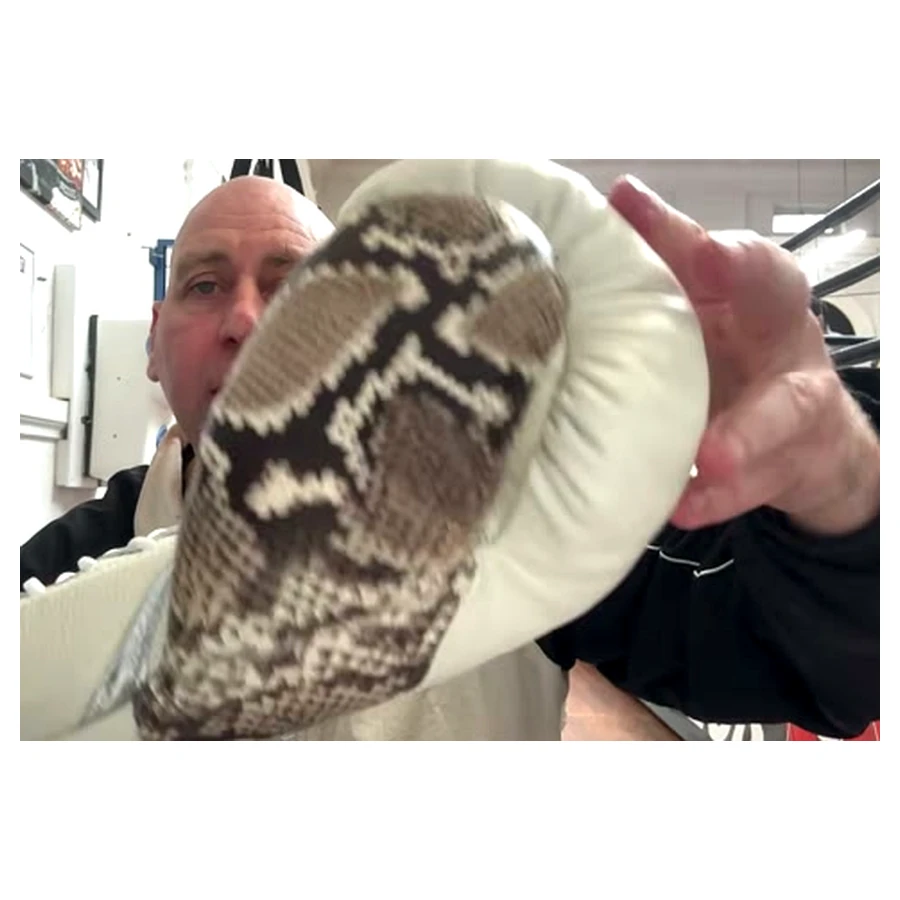 Walls Fight Gear PU-HH Lace Gloves boxing glove image