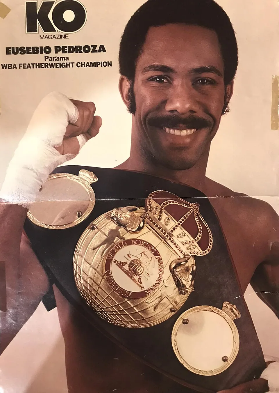 Eusebio Pedroza fighter photo