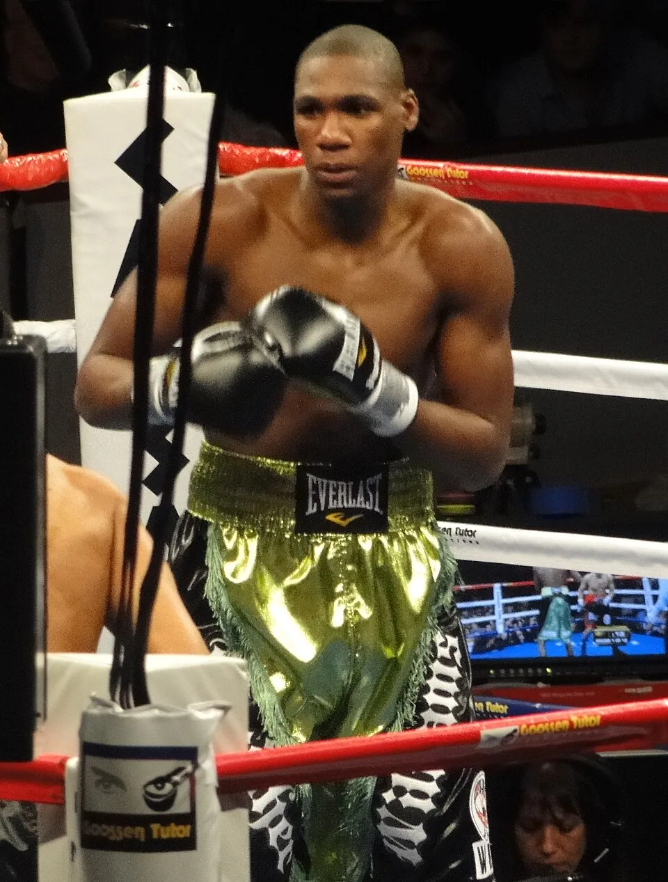 Paul Williams H&G All-Time Index fighter photo