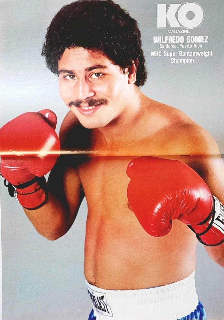Wilfredo Gomez fighter photo