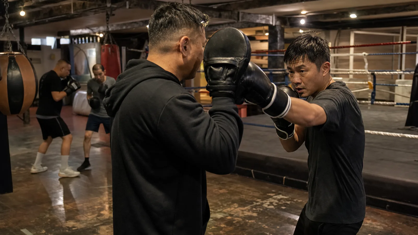 Boxing training at Honour and Glory near Grove Park