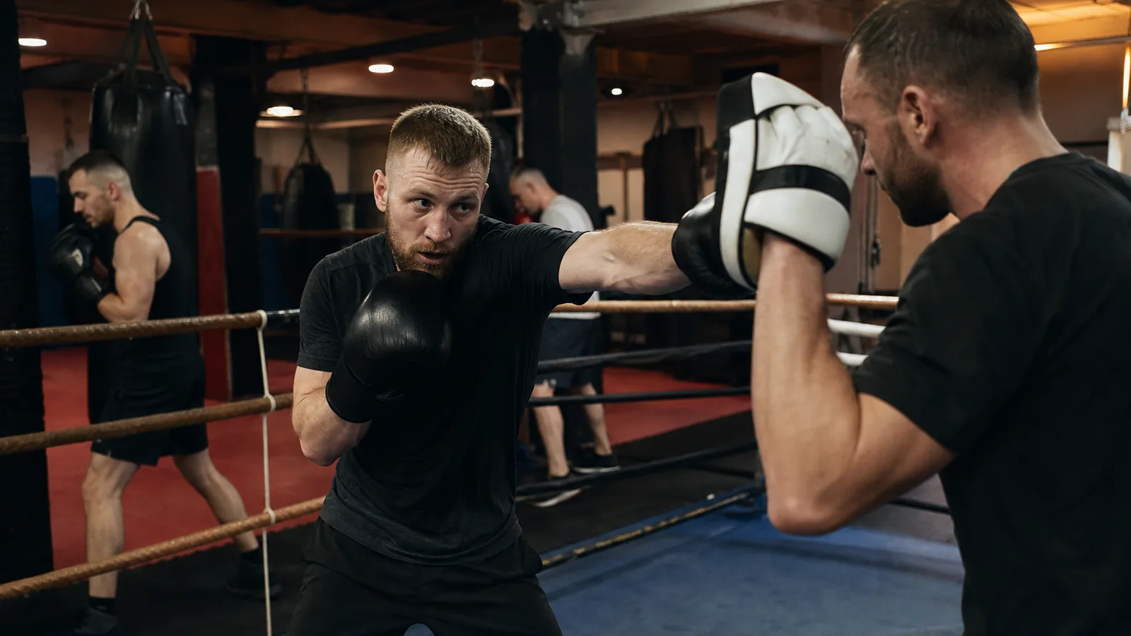 Boxing training at Honour and Glory near Lee