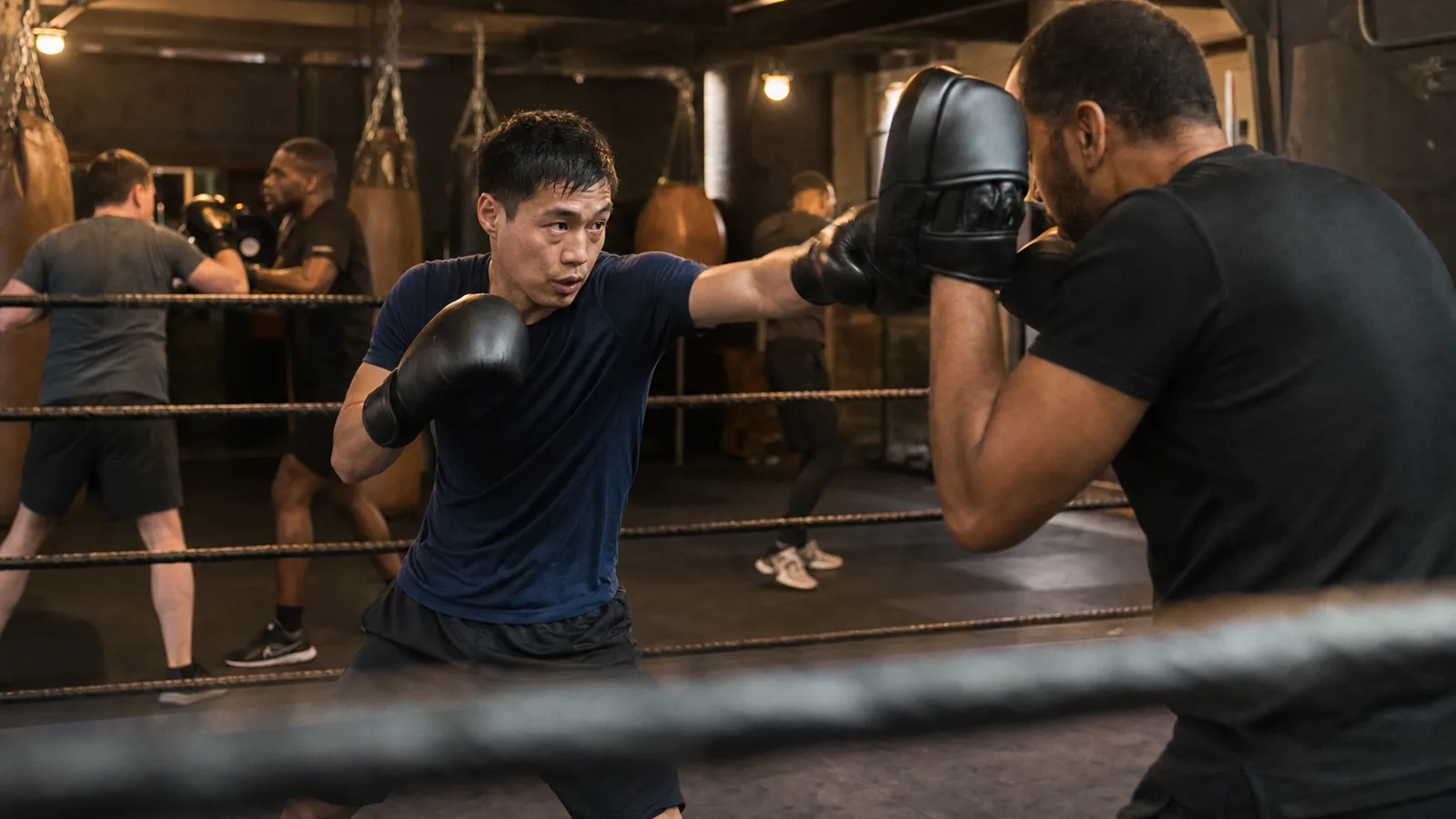 Open boxing training at Honour and Glory near Lee