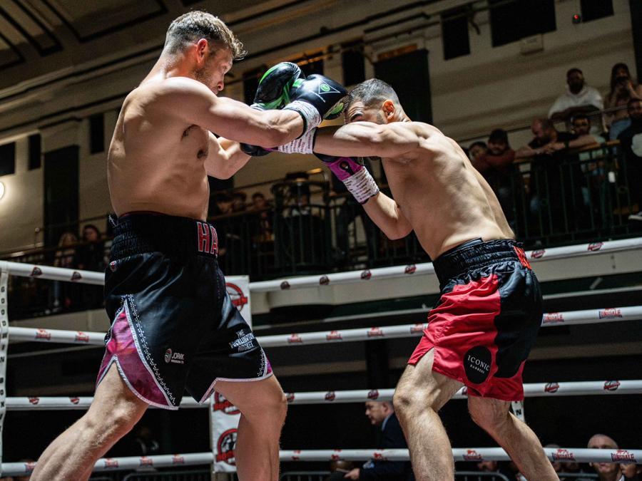 Professional boxing at Honour & Glory - photo 19